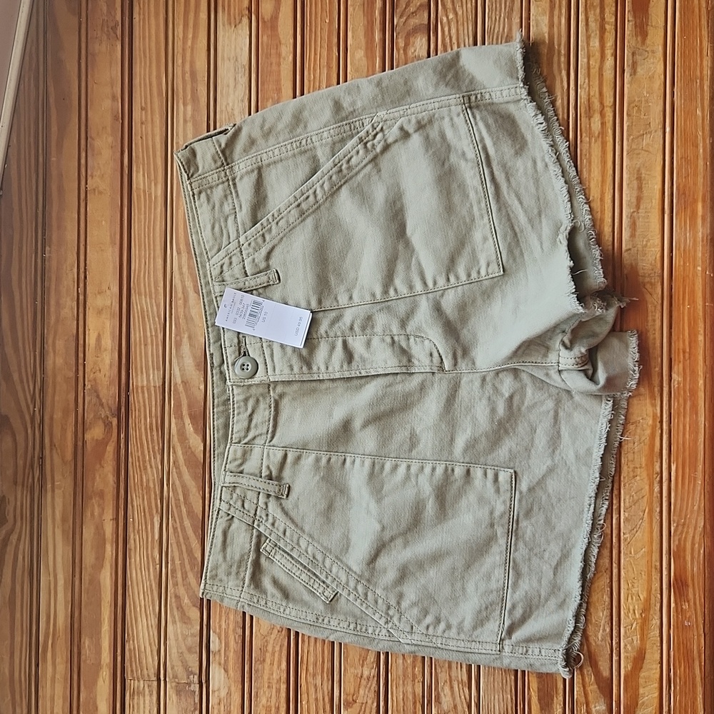 NWT American Eagle Shorts Sz 10